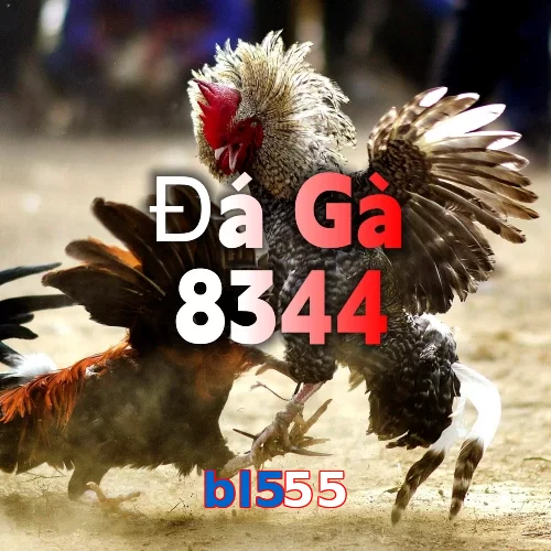 bl555